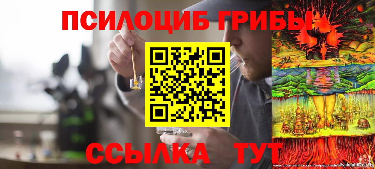 Златоуст  Псилоцибиновые грибы мицелий  Псилоцибиновые грибы ЛСД  Вход с VPN 